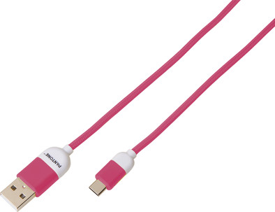 Pantone USB-A to USB-C Cable 1.5m Nylon Pink is no longer available