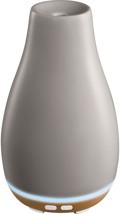 Ellia Blossom Diffuser - Gray is no longer available