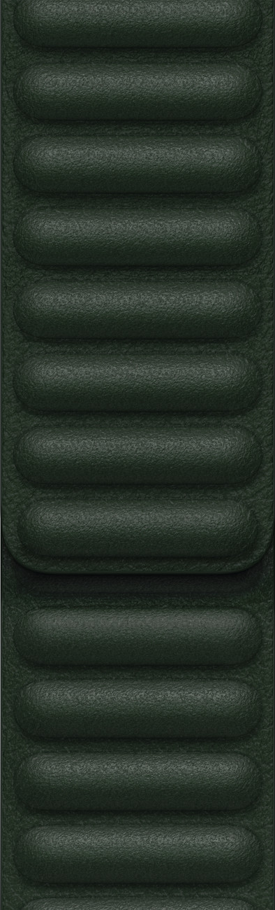 Le produit Apple Watch 42/44/45 mm Leather Link Bracelet de Montre Vert Séquoia - Medium/Large ne sera plus jamais disponible