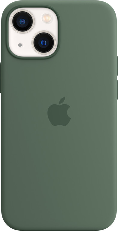 Apple iPhone 13 Mini Back Cover with MagSafe Eucalyptus is no longer available