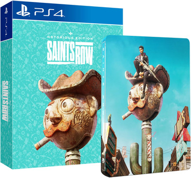 Le produit Deep Silver Saints Row Notorious Edition PS4 ne sera plus jamais disponible