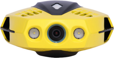 Chasing Dory is nooit meer leverbaar