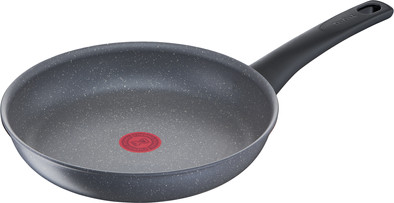 Le produit Tefal Healthy Chef Poêle à Frire 24 cm ne sera plus jamais disponible