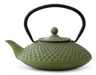 Bredemeijer Xilin 1,25L Gietijzer Groen is nooit meer leverbaar