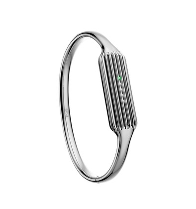Le produit Fitbit Flex 2 Bracelet Argent - S ne sera plus jamais disponible