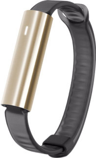 Le produit Misfit Ray Polished Gold/Bracelet Sportif Noir ne sera plus jamais disponible