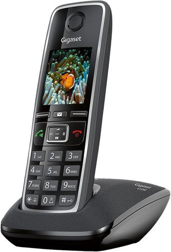 GIGASET C530 visual data 3