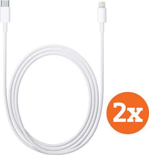 Apple Câble USB-C vers Lightning 1 m Matière Synthétique Blanc Lot de 2 Main Image