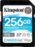 Kingston Canvas Go Plus 256GB SDXC