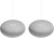 Google Nest Mini Wit 2 pack