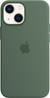 Apple iPhone 13 Mini Back Cover with MagSafe Eucalyptus