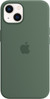 Apple iPhone 13 Back Cover with MagSafe Eucalyptus