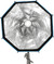 Nanlite Octagonal Softbox 60 cm FM Mount