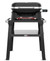 Weber Lumin met Onderstel