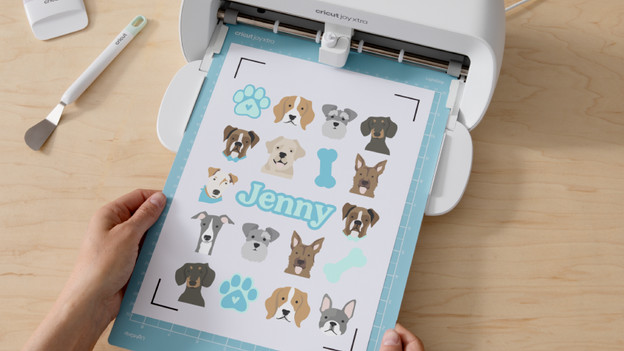 Joy Xtra : des motifs plus petits et un format compacte