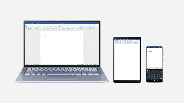 Microsoft Office 365 Business Standard: yearly subscription