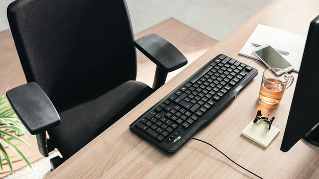 Ergonomic desk chairs