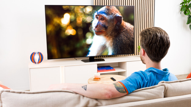 welke merken hebben micro rgb televisies