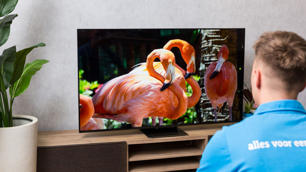 C831 first impression