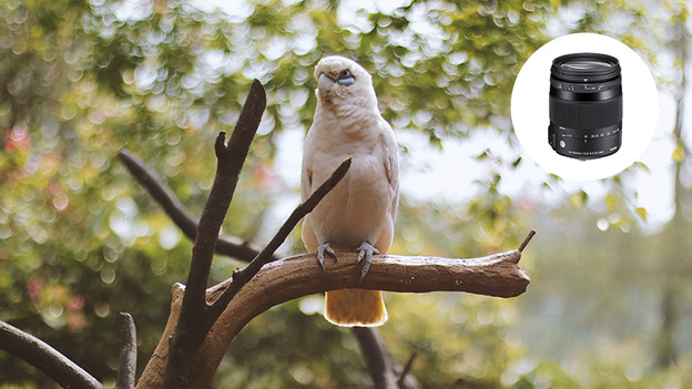 Types d'utilisation de l'objectif zoom