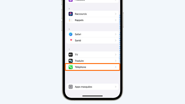 menu appli téléphone iPhone