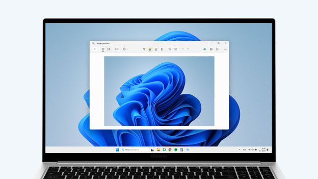Snipping Tool in Windows.