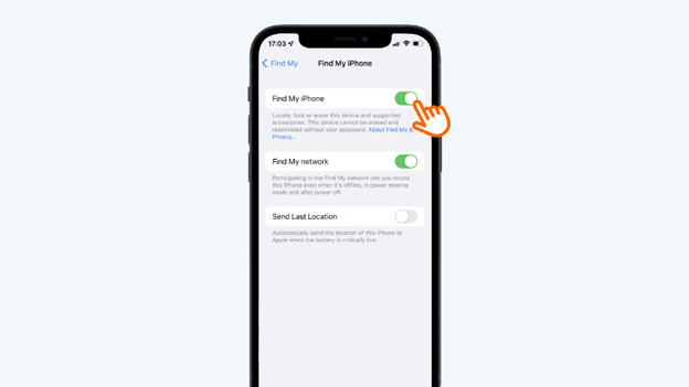 4. Tap the green toggle.