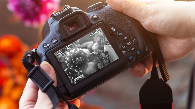 Écran en noir et blanc