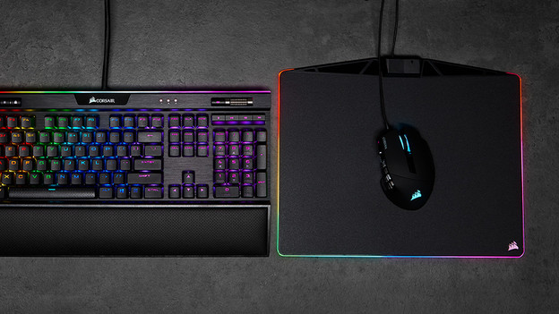 Medium-sized mouse in use.