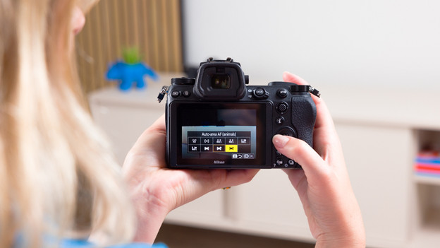 Nikon Z6 II : reconnaissance du sujet