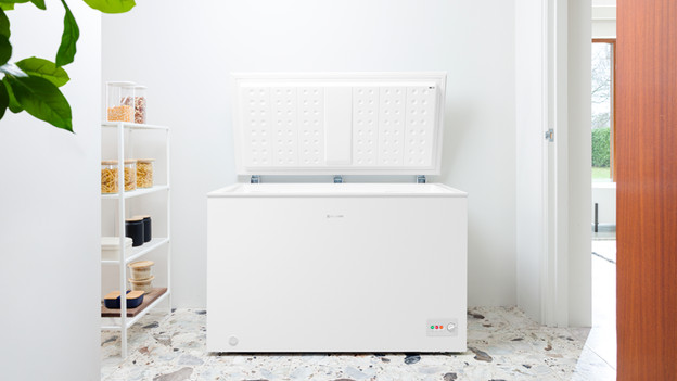 Diepvrieskist grootte