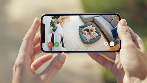Animaux de compagnie caméra IP