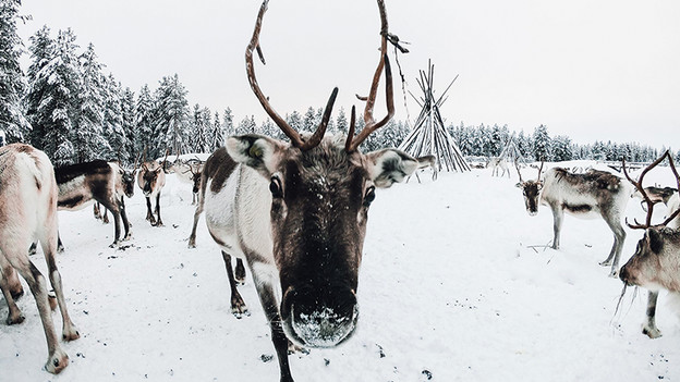 Variété des images