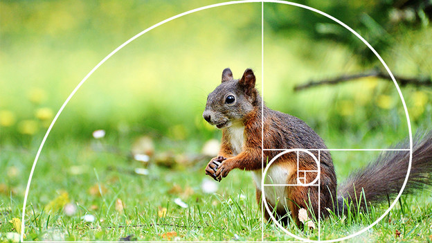 Plaatsing van je onderwerp