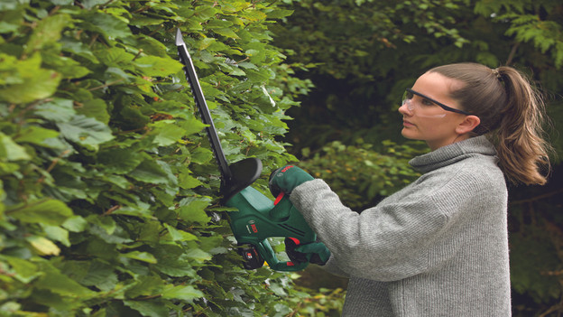 Advies over snoeien met een heggenschaar