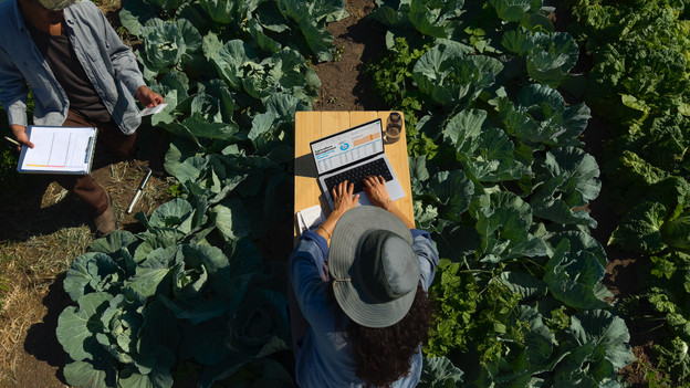 A screen for every environment