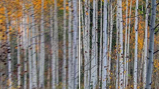 Stabilisation d'image numérique