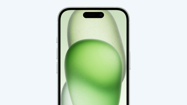 iPhone 15 (Plus): 6.1 and 6.7-inch screen