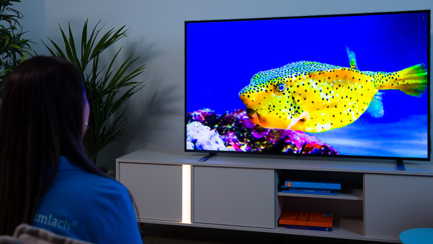 LG QNED 85 Quantum Dot bright colors