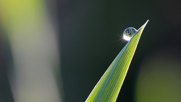 Qu'est-ce qu'un objectif macro