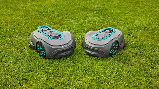 What do you need for your lawn maintenance?