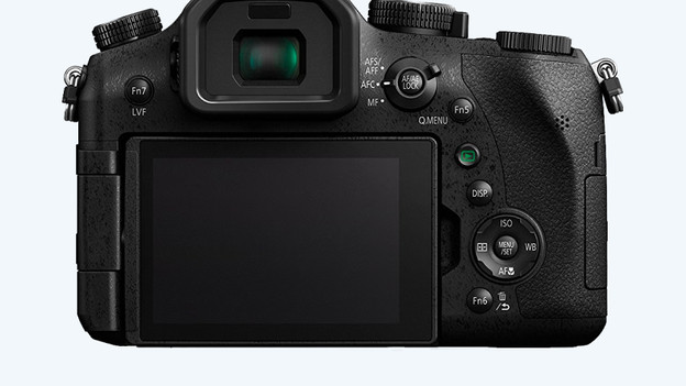 Panasonic Lumix DMC-FZ2000: built-in gray filter