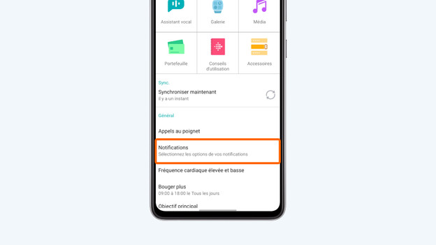Allez dans « Notifications ».