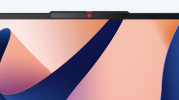 Tip 2: check the privacy switch