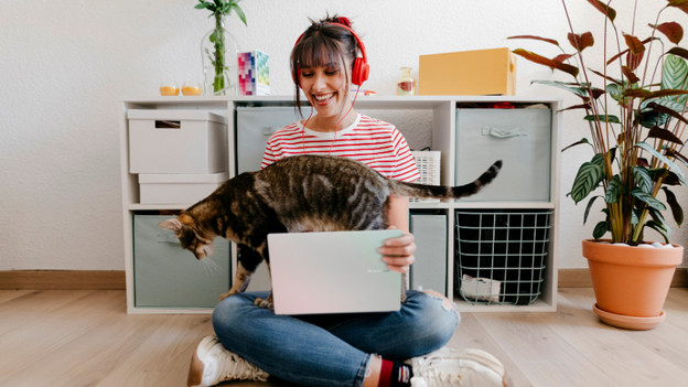 PC portables Windows