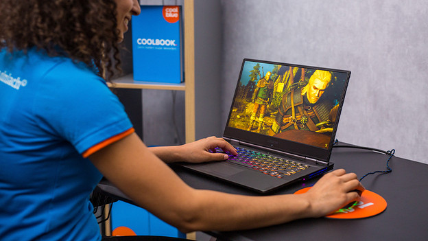 Girl plays a game on laptop.