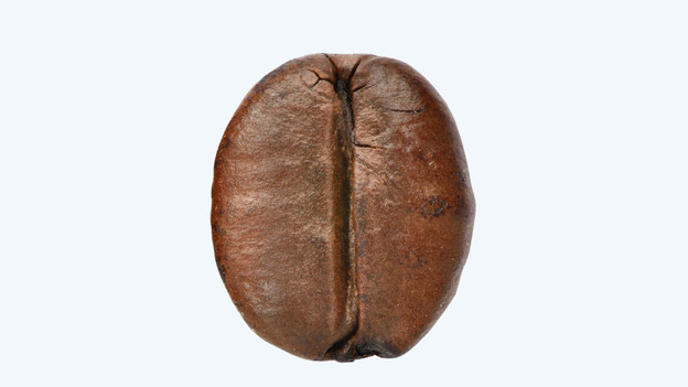 Robusta : rond et plus petit