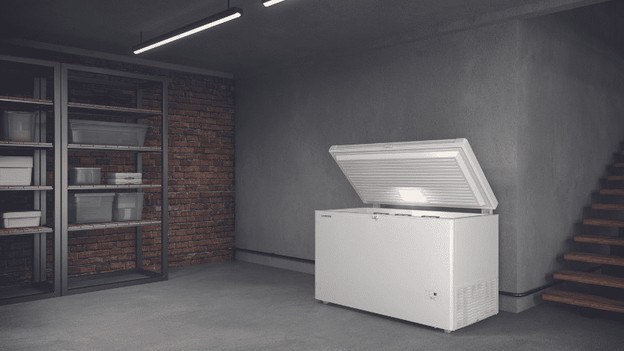 Freezer in the basement