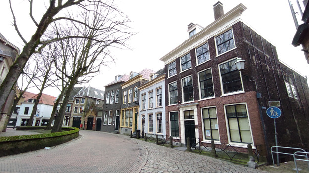 Groothoeklens Xiaomi Redmi Note 9 Pro