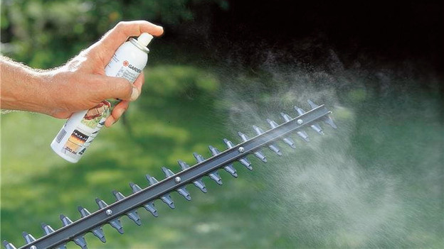 Clean the hedge trimmer